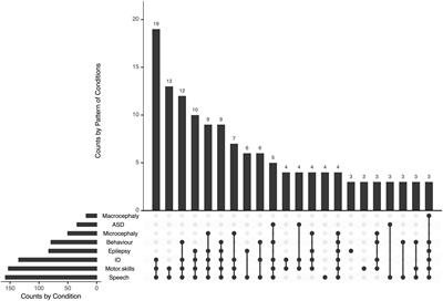 Maternal synapsin autoantibodies are associated with neurodevelopmental delay